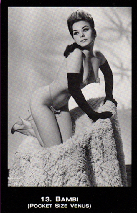 Vintage Glamour And Nude Strippers - Grindhouse Girls' of the 50s and 60s: An eye-popping set of sexy black &  white trading cards | Dangerous Minds