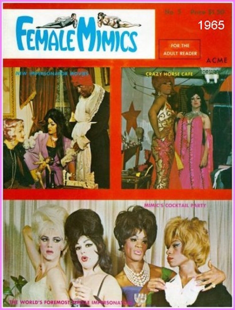 Drag Tastic Covers From Vintage Crossdresser Magazine Female