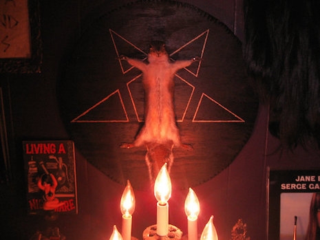 Satanic Ritual Squirrel taxidermy