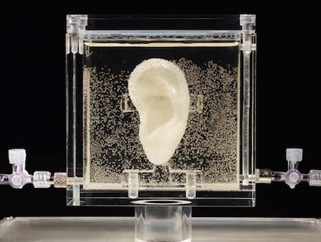 An ear created using Vincent van Gogh's DNA that can actually hear you