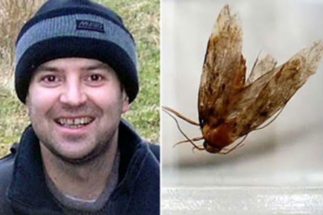 Man had moth buzzing inside his head for three days