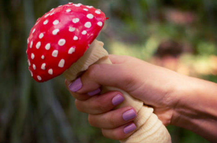 Calm your rage (or work on your handjob technique) with these stress reducing ‘shrooms