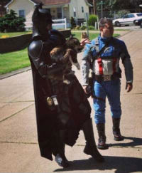 Batman and Captain America rescue a cat