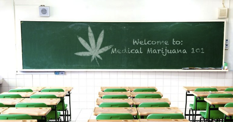 Medical Marijuana 101: Learn to navigate the coming tide of legalized weed