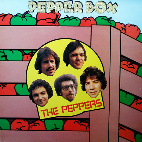 ‘Pepper Box’: The funkiest space-disco synthpop rare groove record of 1973