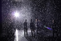 The amazing Rain Room installation at MoMA will shake you up, then calm you down