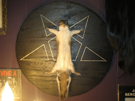 Satanic Squirrel Ritual taxidermy