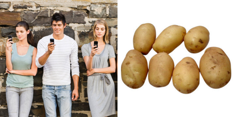 Insane market research: ‘Understanding millennials: How do potatoes fit into their lives?’