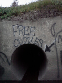 Free Cuddles: Apparently…