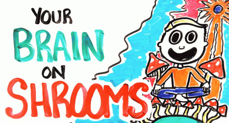 This is your brain on ‘shrooms: Why magic mushrooms make you trip