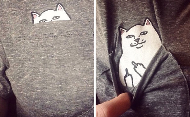 ‘F’ is for feline: Cat shirt reveals a dirty little secret