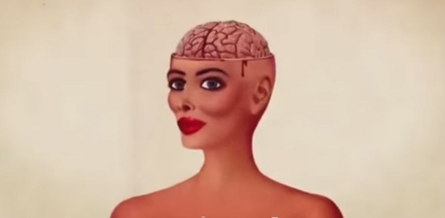 Plastic Surgery Disaster: Powerful animation about trying to obtain ‘female perfection’