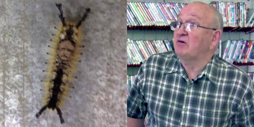 Why aren’t people taking man who claims to have found a caterpillar with human face seriously?!