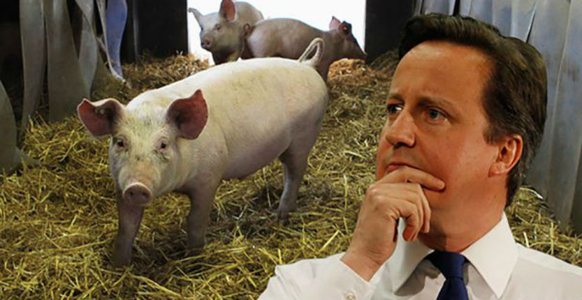 Giant sculpture of naked David Cameron ‘with a pig’ to be torched tonight