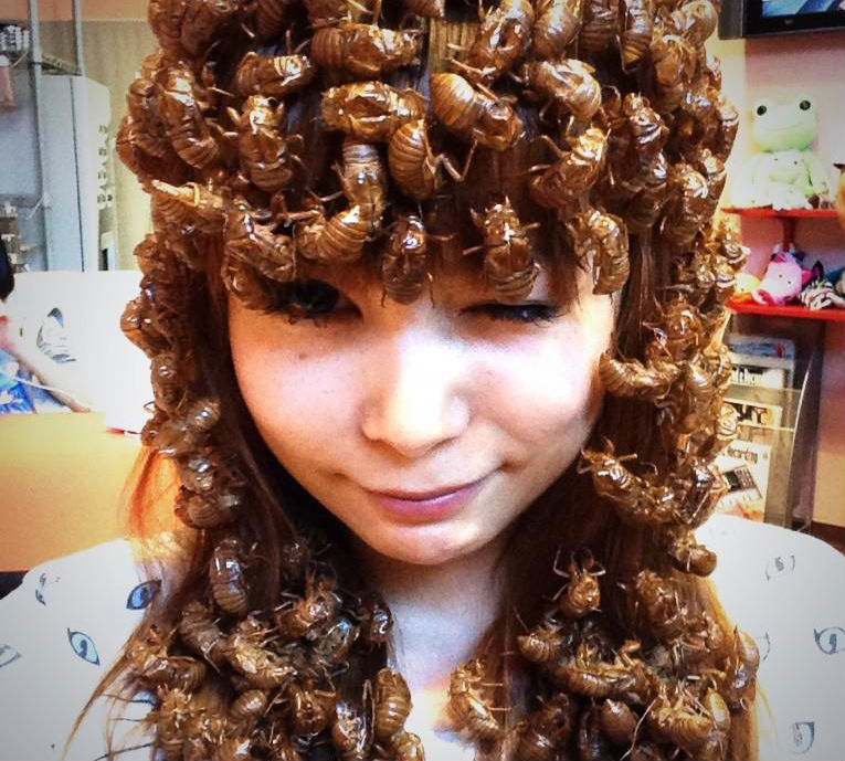 Japanese entertainer Shokotan sports exotic cicada skin headdress