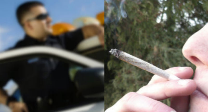 Dickhead cop asks ‘Why is it everybody who plays Frisbee golf smokes weed?’