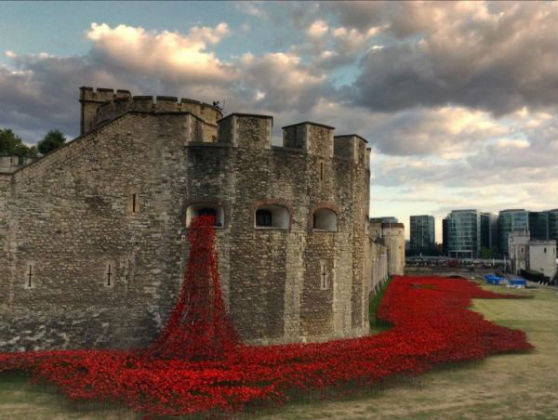 ‘Blood Swept Lands and Seas of Red’: Spill of poppies commemorate fallen of First World War