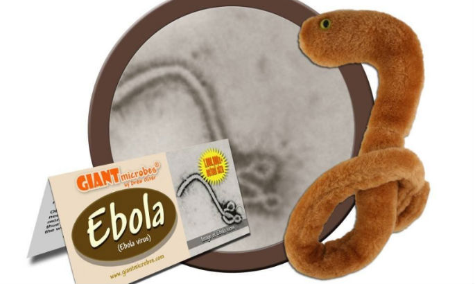Maybe now isn’t the best time to sell an Ebola plush toy?
