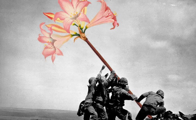 Flower power: Guns replaced with flowers in vintage war photos