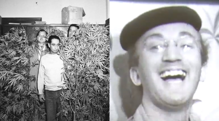 1948 NYC pot bust caught on film. Arrestee has a mean case of the giggles