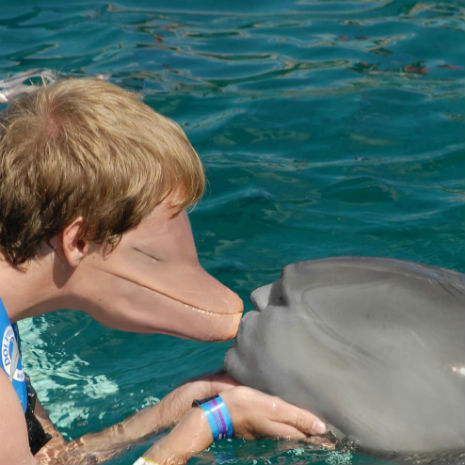 Highly disturbing human/dolphin ‘face swap’
