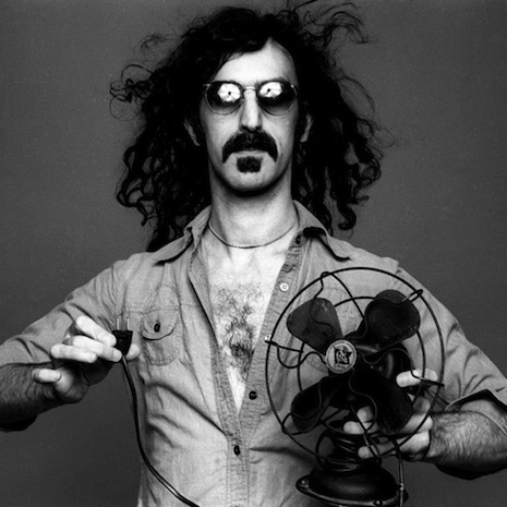 Acne bacterium is named after Frank Zappa, immediately releases four albums in gratitude