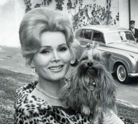 Zsa Zsa Gabor and the psychedelic land of dinosaurs: ‘Pookie? Pookie ver are yoo?’